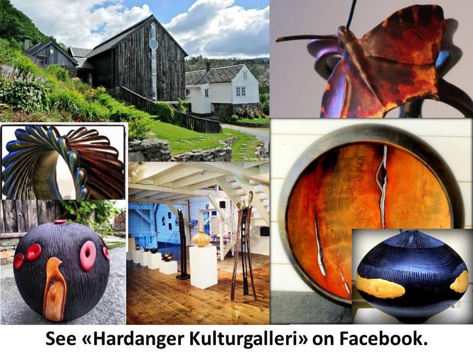 Apartment 2, Herand, Hardanger Bagian luar foto